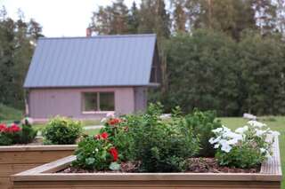 Дома для отпуска Piesta Kuusikaru riverside cottage in Soomaa region Kullimaa Дом с 1 спальней-34